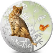 Fiji WILD CAT - BENGAL WILD PRIONAILURUS BENGALENSIS $2 Silver Coin 2013 Gem inlay Proof 1 oz